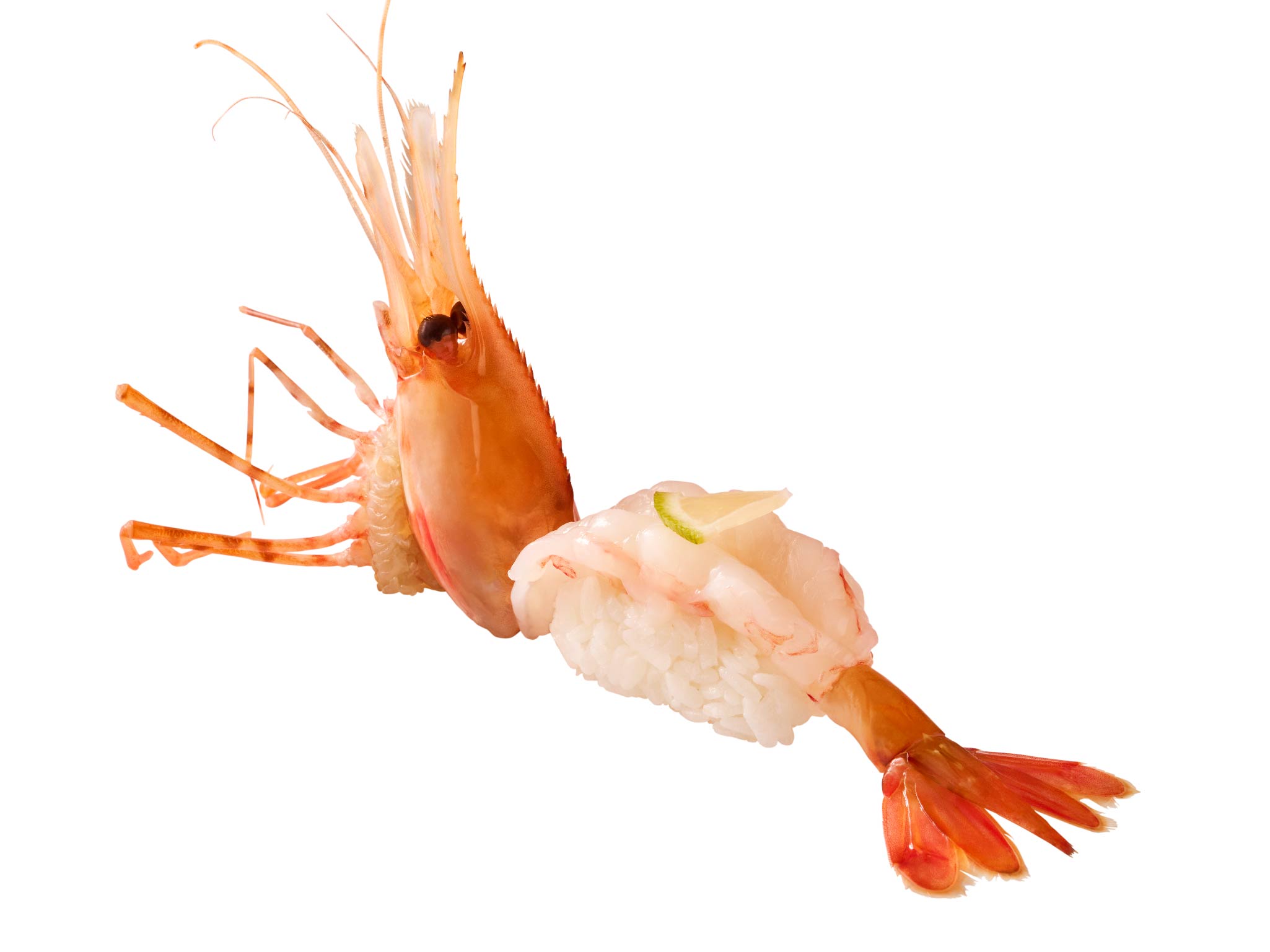 北海道牡丹蝦握壽司